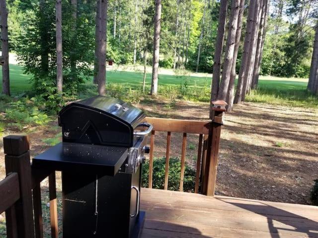 Crystal Mountain Cabin-Shuttle Pass Included! Thompsonville 外观 照片
